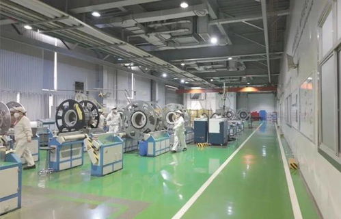 以教育之強譜寫高質量發展新篇 浙大勇擔使命，我與教育強國共成長