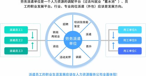 互聯網信息服務助力人力資源服務機構數智化轉型